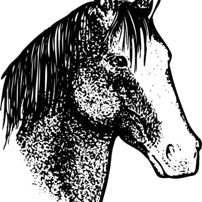 HORSE046 Thumbnail