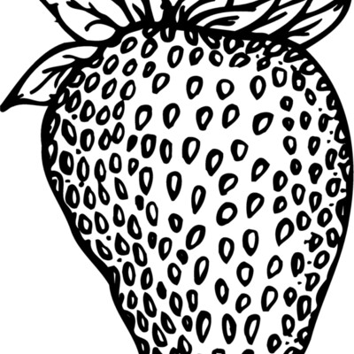FRUIT010 Thumbnail