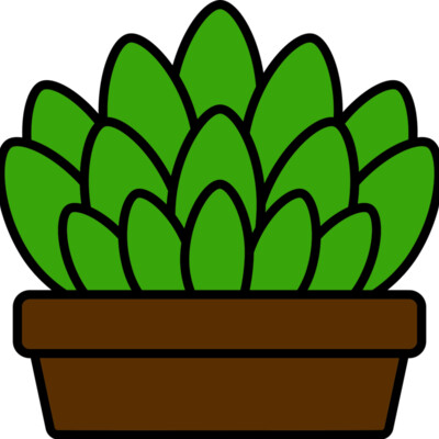 Succulent Plant Thumbnail