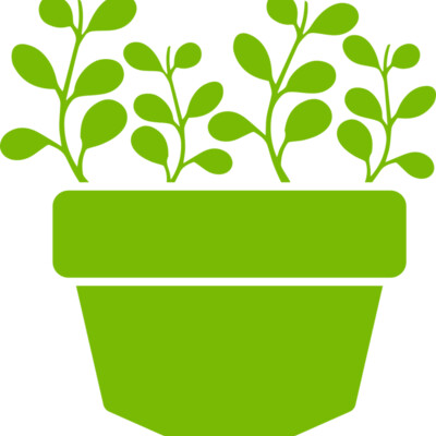 Succulent Plant 3 Thumbnail