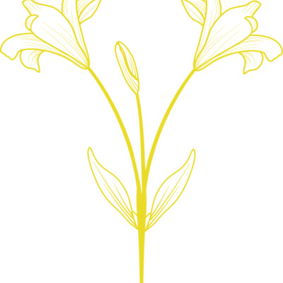 Flowers 9 Thumbnail