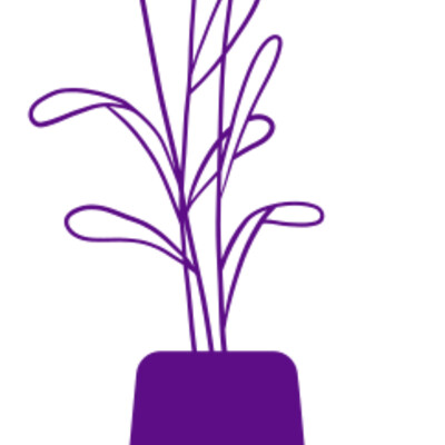 Flowers 7 Thumbnail