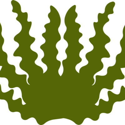 Sea Plant 2 Thumbnail