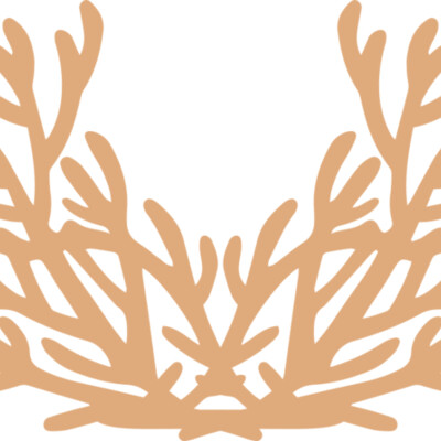 Sea Plants Thumbnail