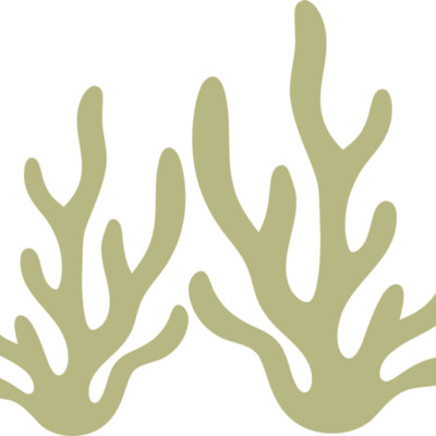 Sea Plants 2 Thumbnail