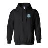 Unisex Heavy Blend™ Hooded Sweatshirt Thumbnail
