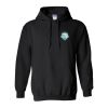 Unisex Heavy Blend™ Hooded Sweatshirt Thumbnail