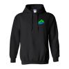 Unisex Heavy Blend™ Hooded Sweatshirt Thumbnail